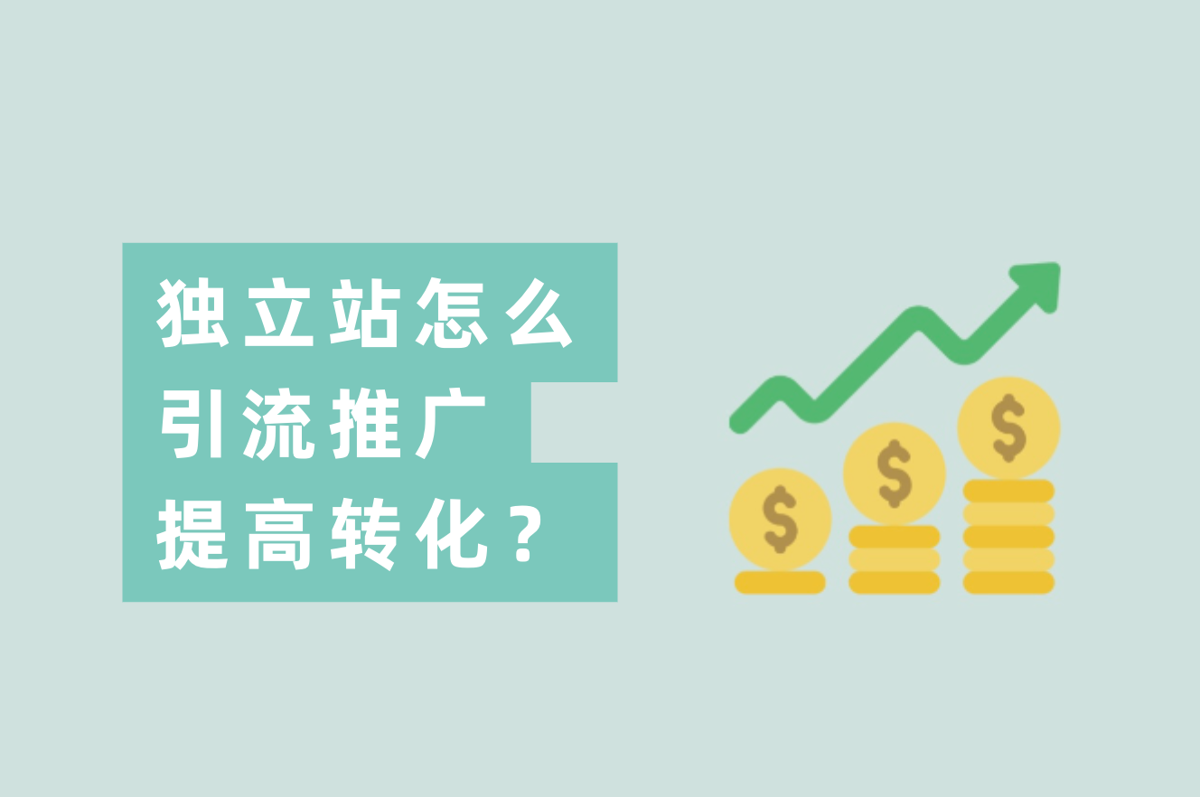 自力站卖家怎么推广引流？自力站怎样举行站内优化提升转化率？